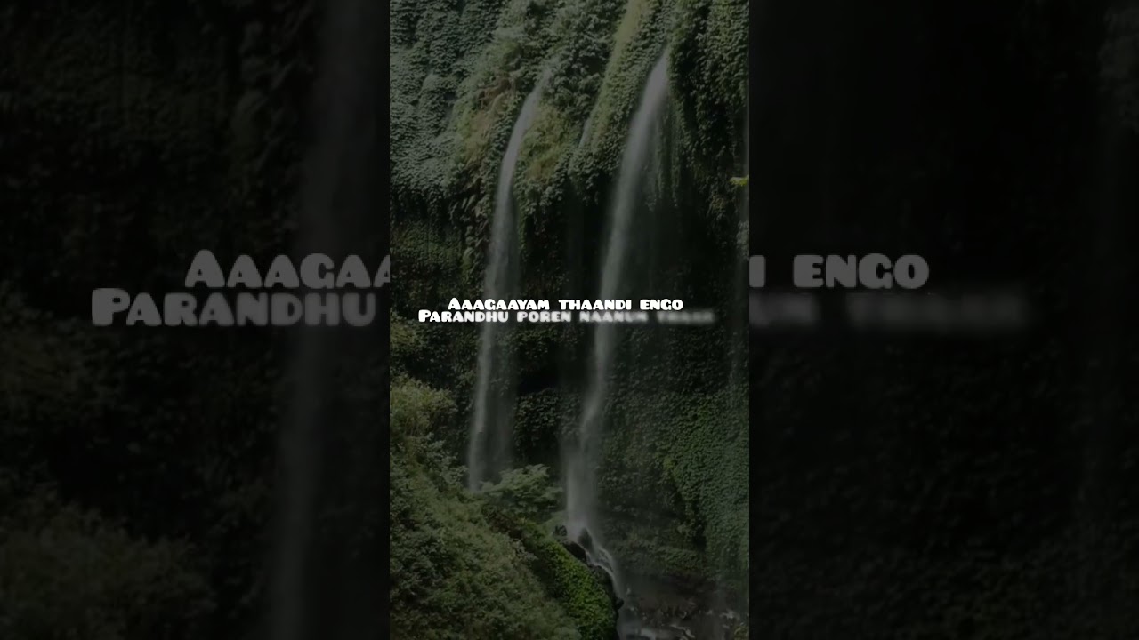 Nature beauty love song Tamil #tamil #tamilsongs #lovesong #lovestatus #nature #naturesongs