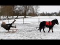 I TRIED PONY SLEDDING....