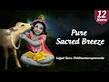 Pure sacred breeze  hare krishna mahamantra 12 hours  jagad guru siddhaswarupananda paramahamsa