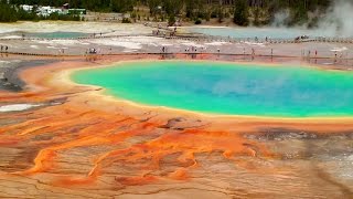 Yellowstone - Land to Life