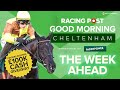 Good morning cheltenham live  horse racing tips  cheltenham festival  racing post