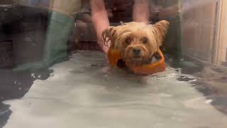 Riley's  recovery update: First Hydrotherapy Session.