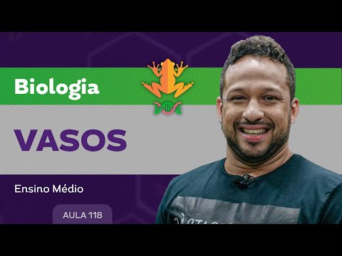 Vasos - Biologia - Ensino Médio