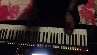 DJ V2 KBN - KEyBoArd Trần