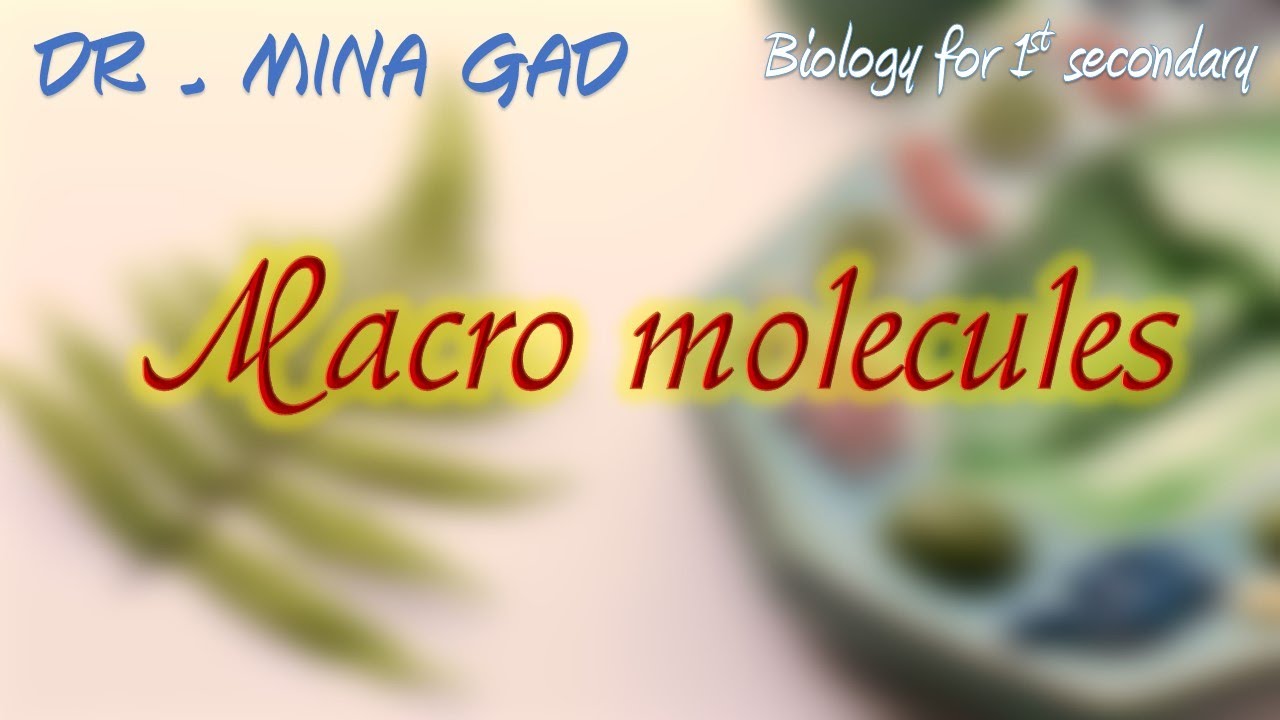 Macro-molecules -Biology for 1st secondary