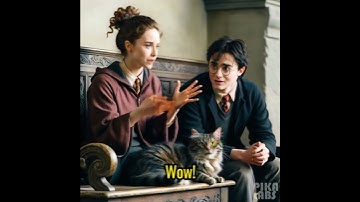 Outliers on cats #machinelearning #cat #engagingcontent #ai