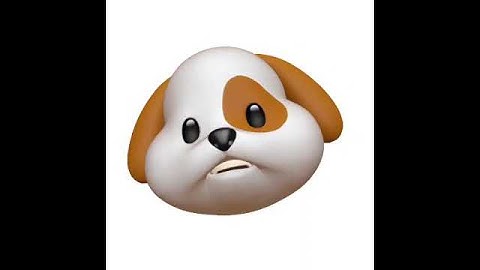 iPhone X (My first Animoji vid)