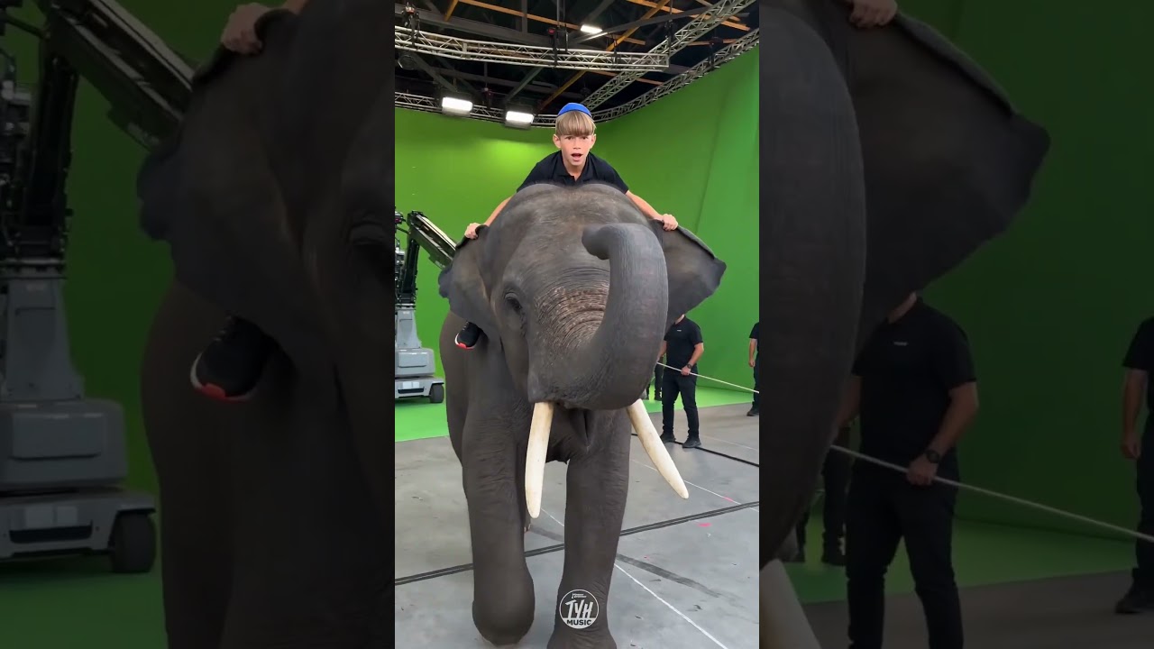 🔼 Watch Jungle Here