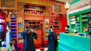 🇯🇵HARRY POTTER merchandise & souvenirs at HOGSMEADE /Wizarding World of Harry Potter USJ-JAPAN