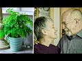 Wife Tells Husband To Keep Watering Plants, Years Later He Learns Why