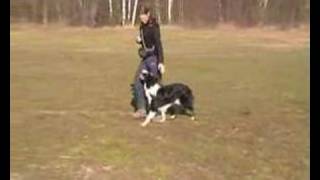 Flat work - BLINDCROSS