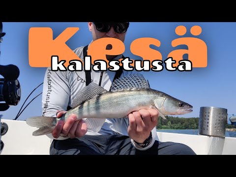 Video: Kesäkuu - Kesäkalastuksen Salaisuudet