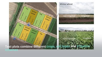 MIKE SHE | Intelligent Irrigation