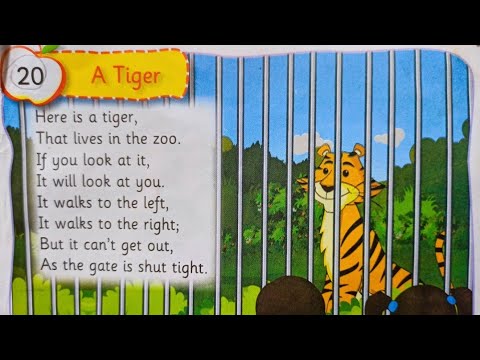 A Tiger   Sr Kg Poem  Rhymes  Songs  SD Teacher