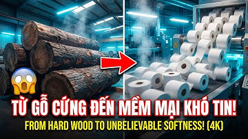 Bên Trong Siêu Nhà Máy Sản Xuất Giấy Vệ Sinh: Quy Trình Biến Gỗ Cứng Thành Sự Mềm Mại Khó Tin
