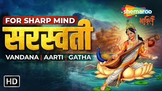 Watch on YouTube