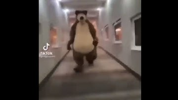 Rusty Walrus be like - (Crash Twinsanity, Bear Chase)