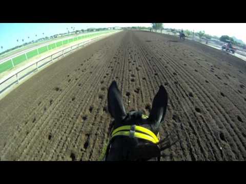 EquiSight Training Cam: Matt Racing Stables and Be...