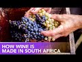 How is Wine Made? 🍇 Groot Constantia in Cape Town, the oldest Wine-producing Estate in South Africa