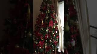 Famous Haunted Christmas tree Net Worth