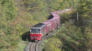 2019.10.11 撮影　常紋峠 紅葉　石北貨物 玉ねぎ列車　☆北鉄路漫598