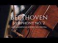Beethoven symphony no 2 op 36 metamorphose string orchestra