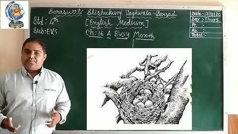 4 EVS CH 16 A BUSY MONTH PART 4 17 12 2020