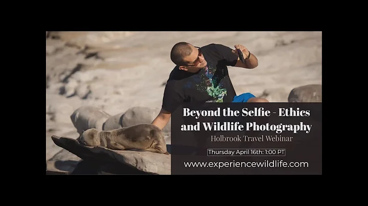 Beyond the Selfie: Ethics in Wildlife Photography ...