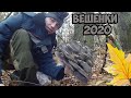 ВОТ ЭТО БУКЕТ!СБОР ВЕШЕНОК 2020 ОСЕНЬЮ.РАЗВЕДКА ДИКОГО ПРУДА.