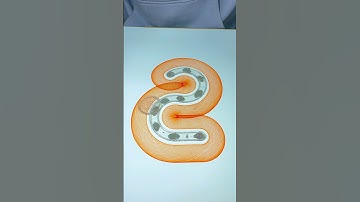 Watch until the end to see if this shape turns into a perfect number 2! #spirographshr #asmr #usa