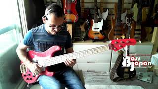In on my procurement service, this is one badass bass...gorgeous ne...