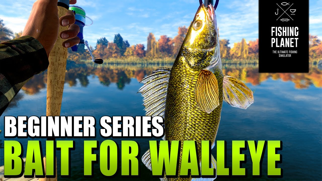 Fishing 2022 How to catch Walleye Guide🎣 (Best bait) Emerald