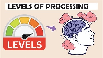 The 3 Levels of Processing Model | Structural, Phonemic & Semantic