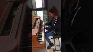 IMG 7806