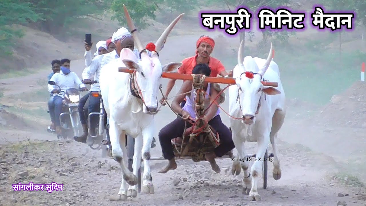 banpuri janral | बनपुरी मैदान 1 हरण्या helicopter बैज्या 4.50 2 aatpadi राजा 3 bullet छब्या