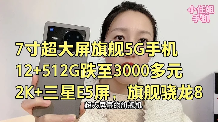 7寸超大屏旗舰5G手机，12+512G跌至3000多元，2K三星E5屏，性能强 - 天天要闻