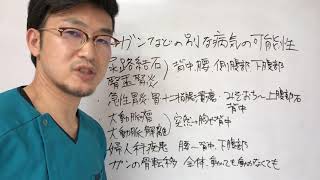 【その腰痛、ガンなど別の病気の可能性が・・・】宮崎県 都城市 整骨院 人気 オススメ/都城市 腰痛専門 くによし整体院 【その腰痛、ガンなど別の病気の可能性が・・・】宮崎県 都城市 整骨院 人気 オススメ/都城市 腰痛専門 くによし整体院