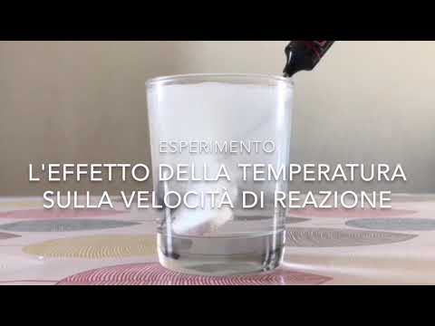 Video: Qual è l'effetto della temperatura sulla reazione?