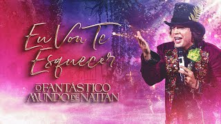 Eu Vou Te Esquecer - Nattan (DVD AO VIVO)