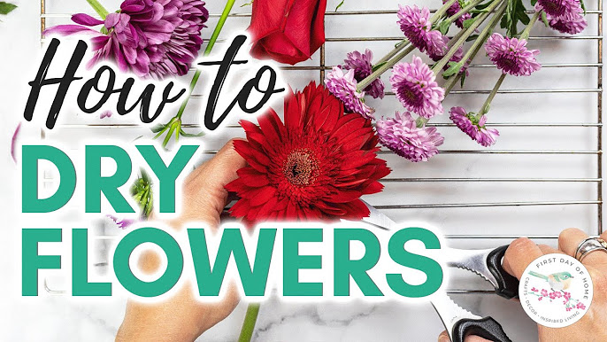 Dried Flower Crafts + Tutorials 