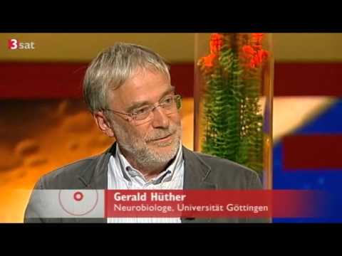 Frühkindliche Bildung - Gespräch zum Thema mit dem Neurologen Prof. Gerald Hüther