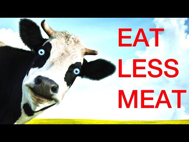 Fight Climate Change, Eat Less Meat