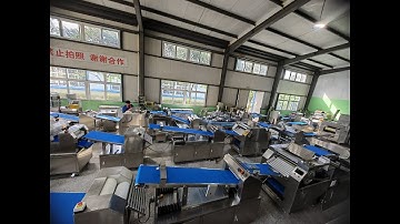 Automatic production line of steamed bun, stuffed bun, baozi