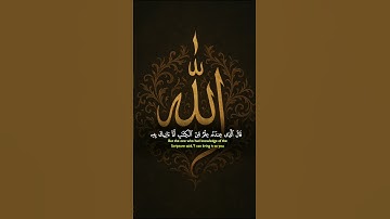 #quran #خشوعالقرآن الكريم ربيع قلوبنا ونور صدورنا #لايك #الرحمن #خشوع #ترند