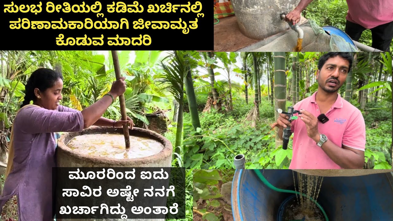 ಕಡಿಮೆ ದುಡ್ಡಿನಲ್ಲಿ ಜೀವಾಮೃತದ ಟ್ಯಾಂಕ್ ಮಾಡಿಕೊಂಡಿದ್ದೇನೆ...