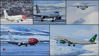 Winter Spotting at Tromsø & more!