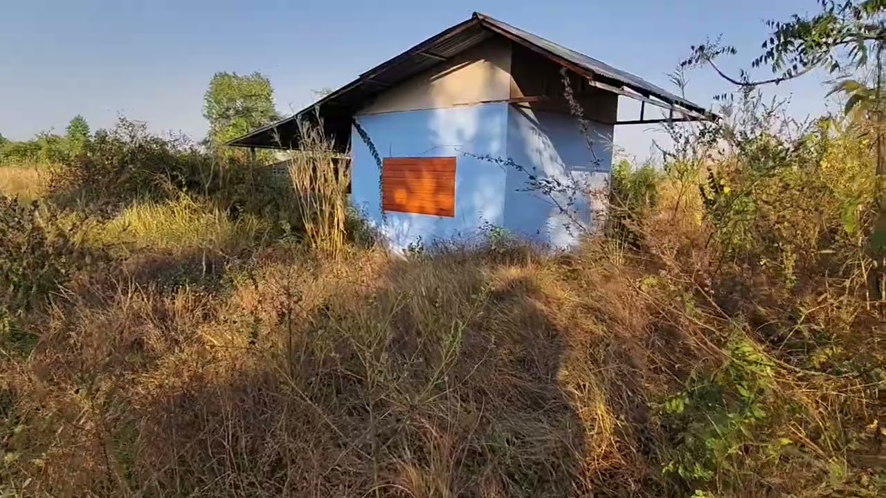 ( ขาย 300,000 ) บ้านสวนพร้อมที่ดิน 1 ไร่ ต. โนนแดง อ. บ้านเขว้า จ. ชัยภูมิ