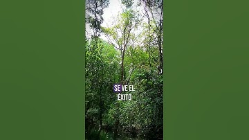 Thumbnail of No Me Voy A Rendir! #frases #reflexiones #motivacion #parati #naturaleza #paisajes #viaje #travel