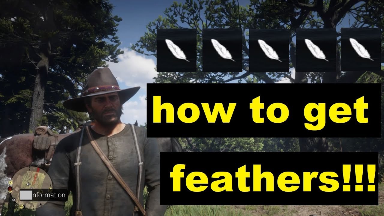 Red Dead Redemption 2 How To Get Feathers YouTube red-dead-redemption-2-how-to-get-feathers-youtube