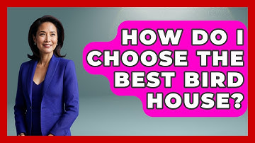 How Do I Choose The Best Bird House? - Bird Watching Diaries